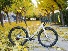MONDRAKER ARID CARBON RR SL