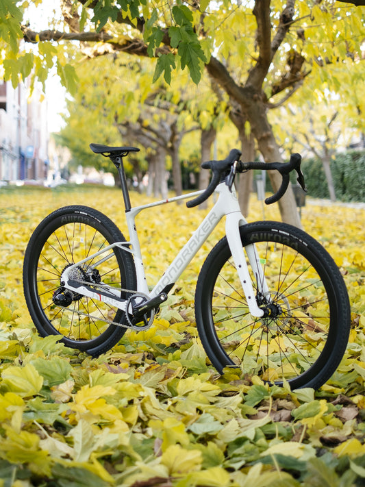 MONDRAKER ARID CARBON RR SL