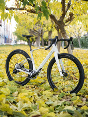MONDRAKER ARID CARBON RR SL